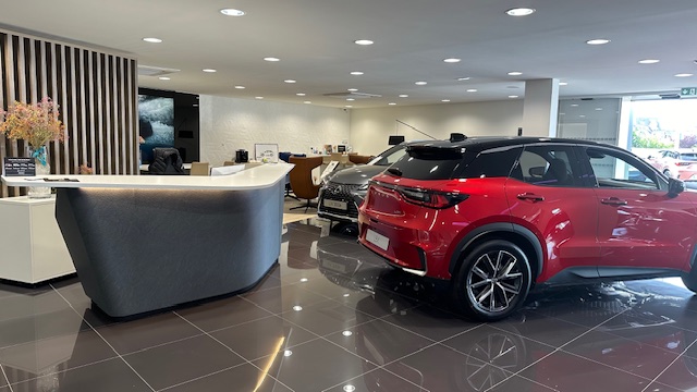 Foto 6 di Lexus Angers GCA