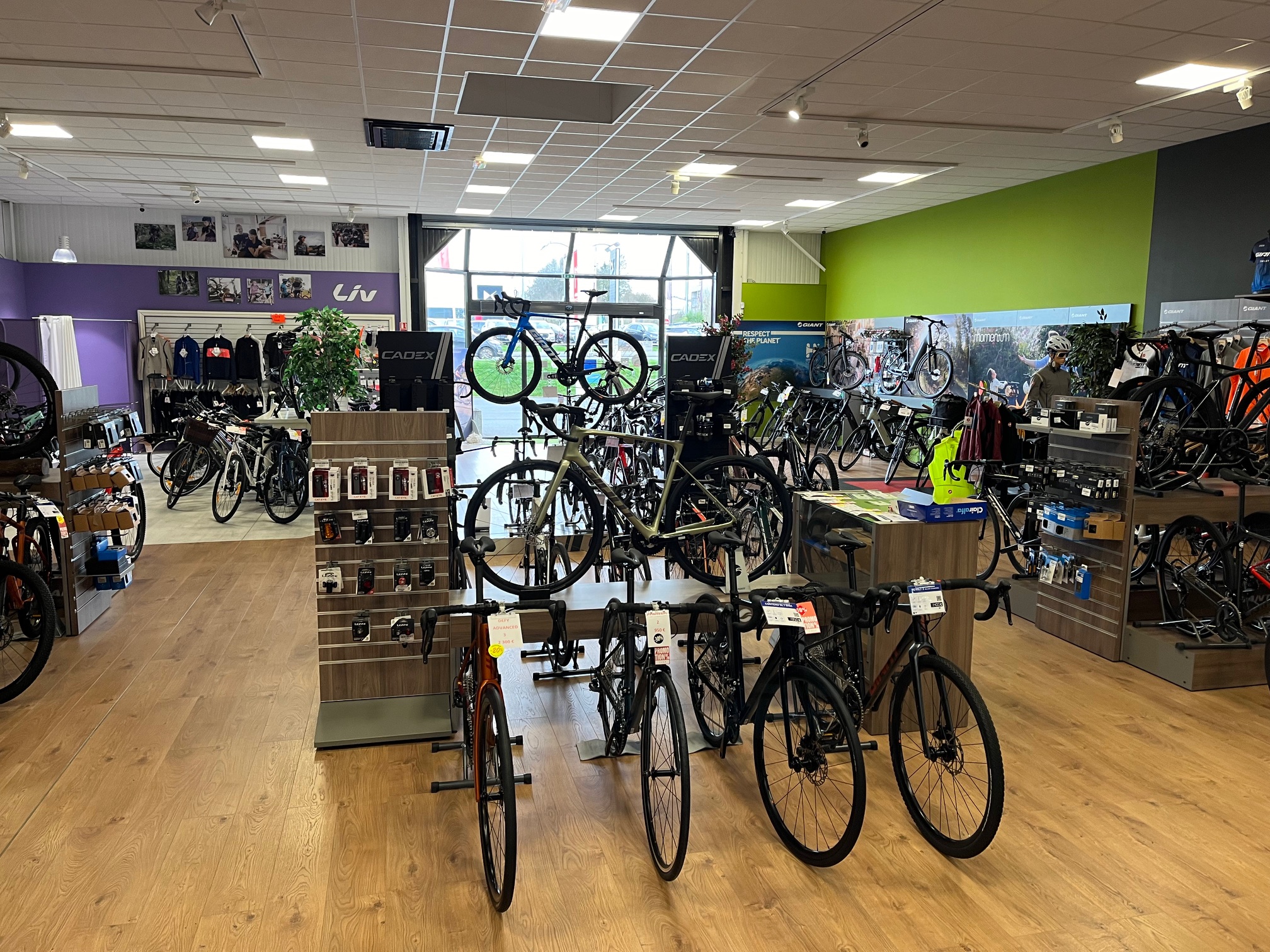 Foto 1 di Giant Cholet