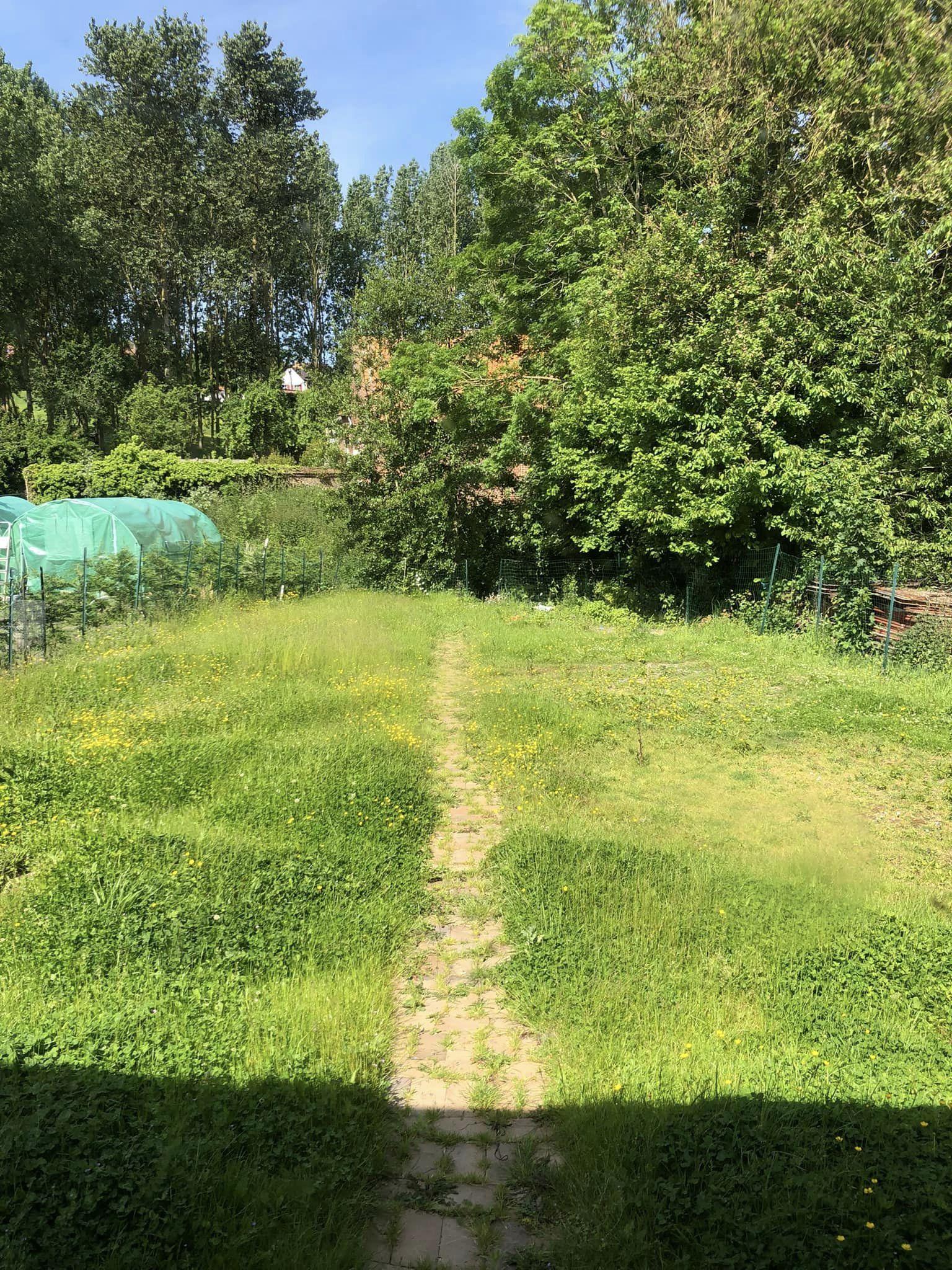Foto 4 di LCH Terrassement