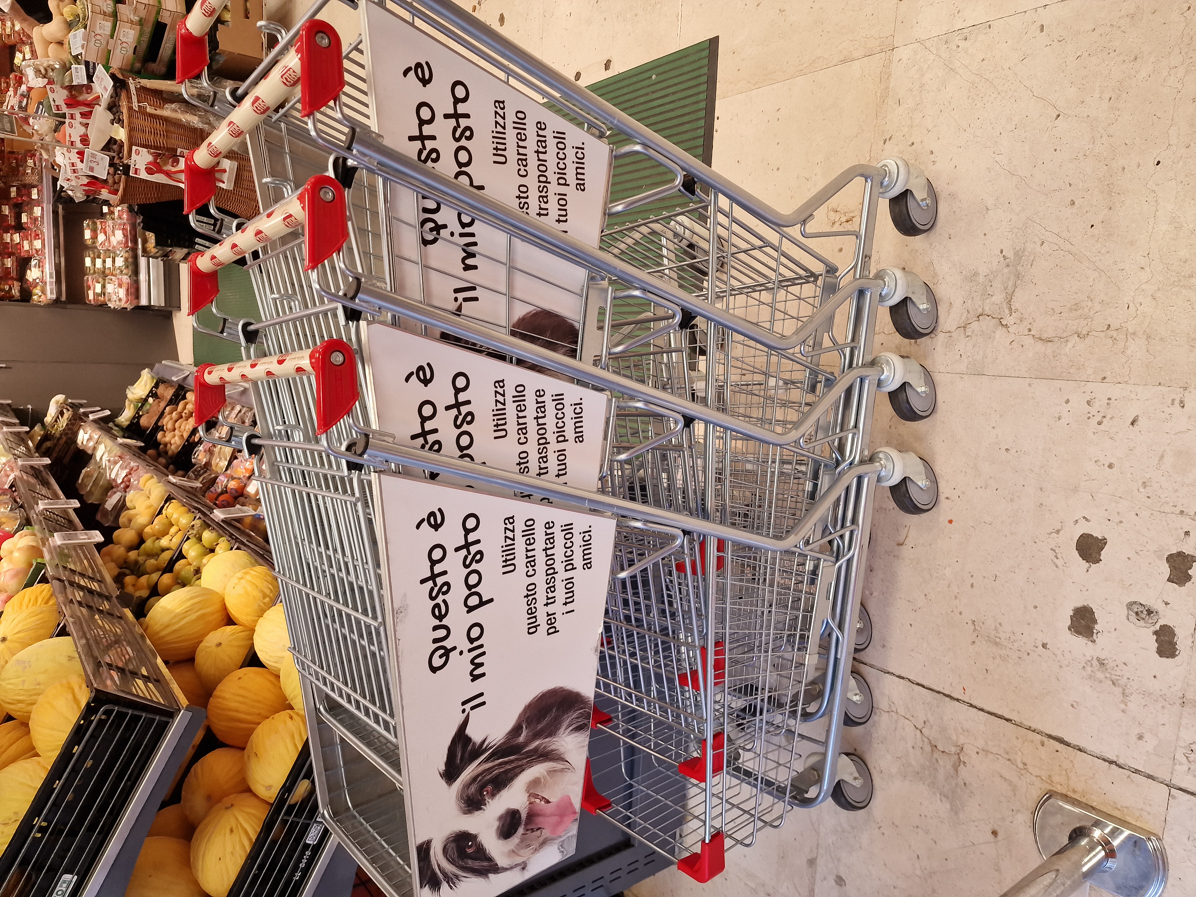 Photo 10 de Supermercato dok
