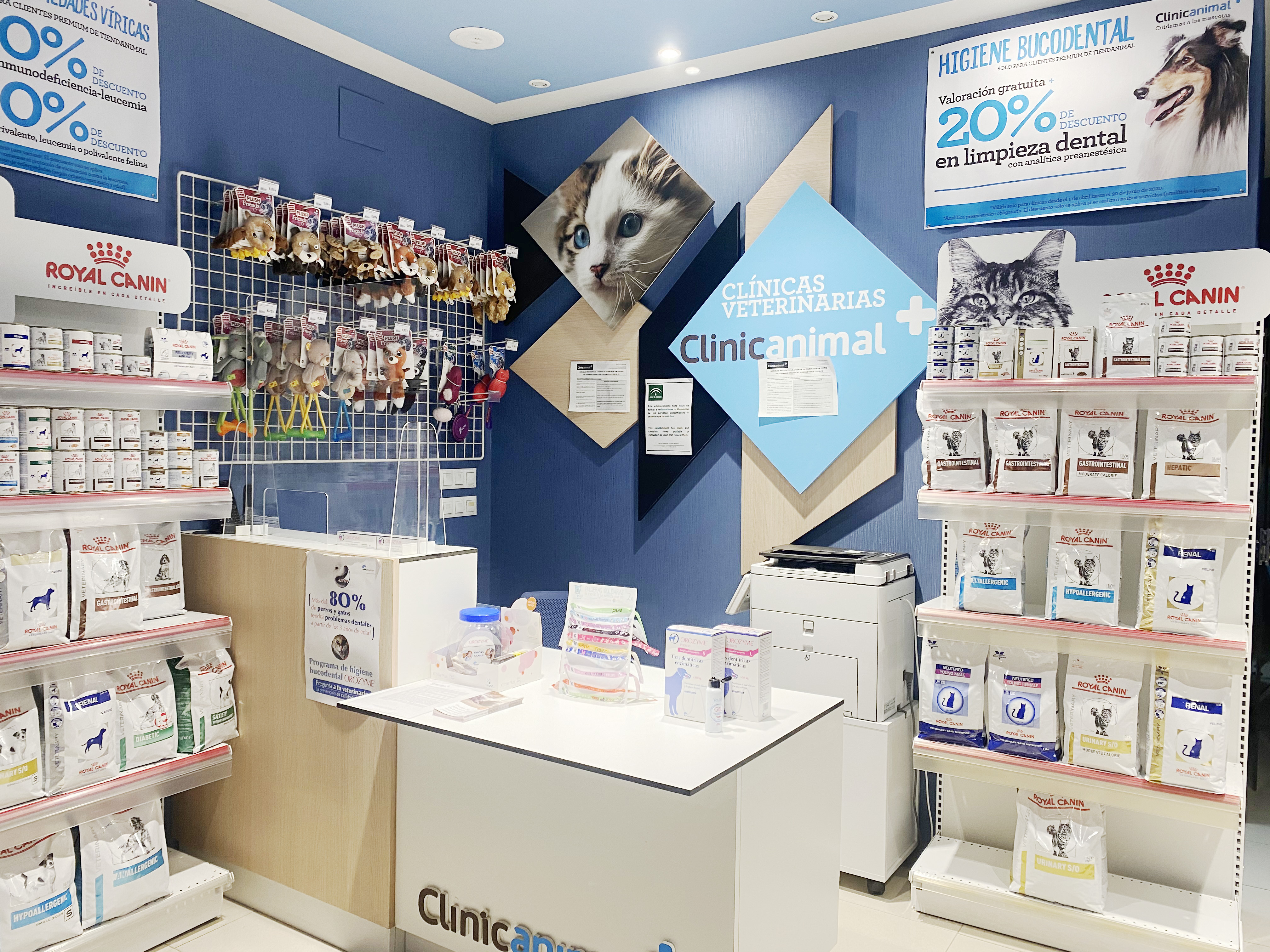 Foto 11 di Clinicanimal