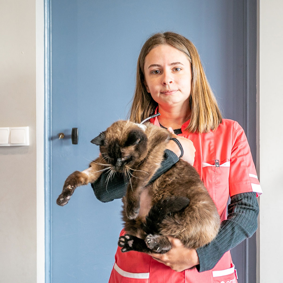 Clinique Vétérinaire Argos