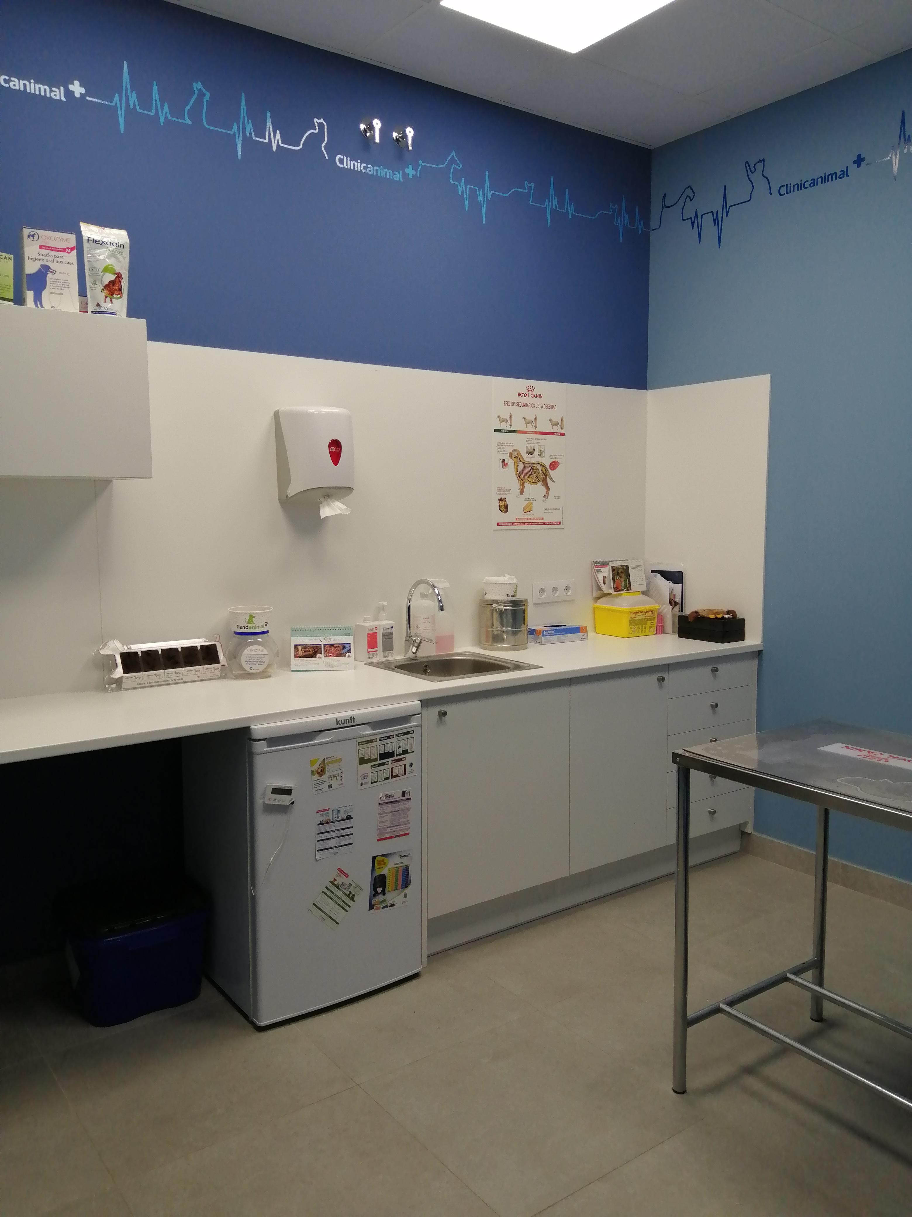 Foto 13 di Clinicanimal