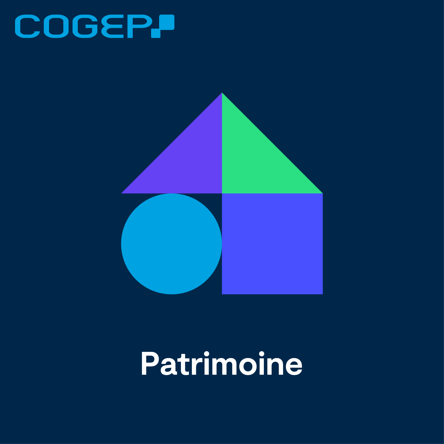 Foto 13 di COGEP
