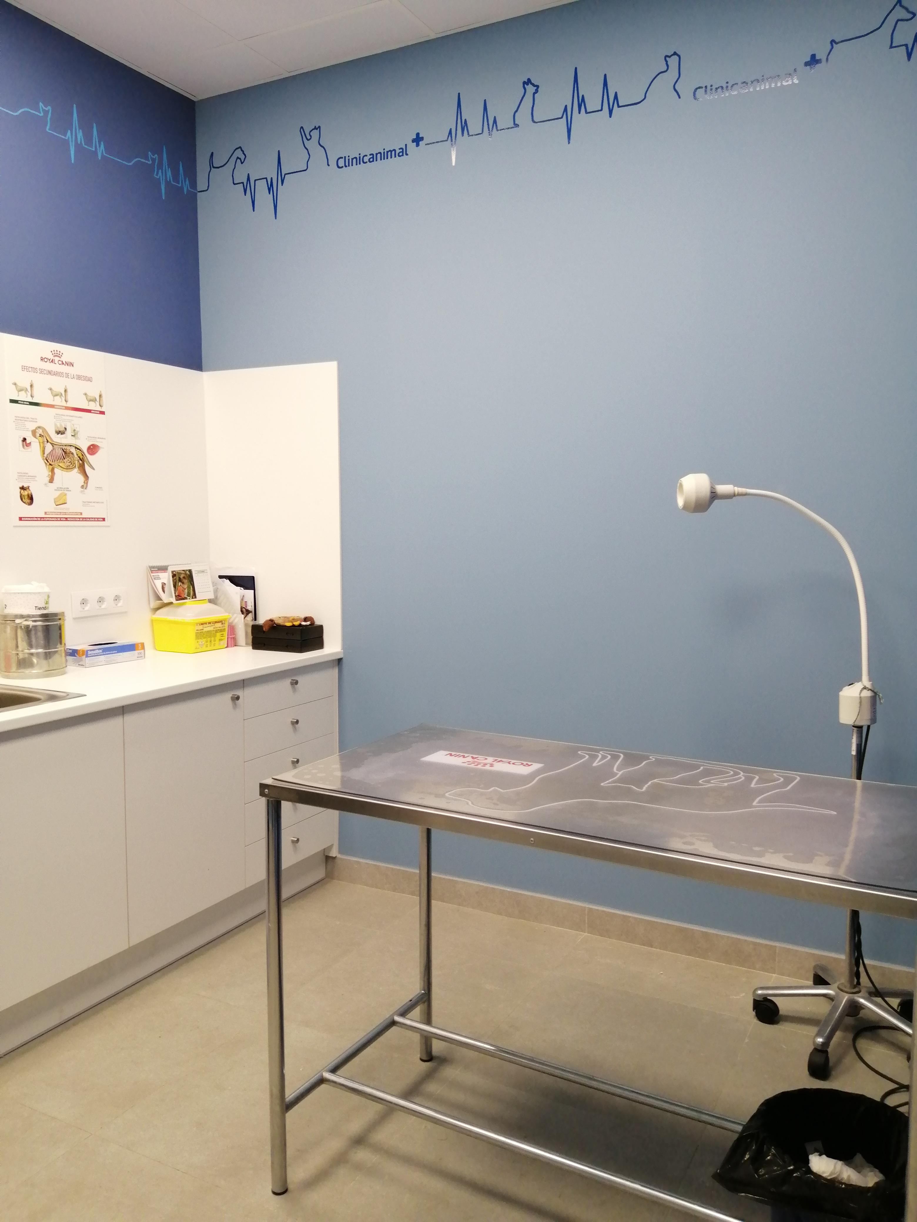 Foto 18 di Clinicanimal