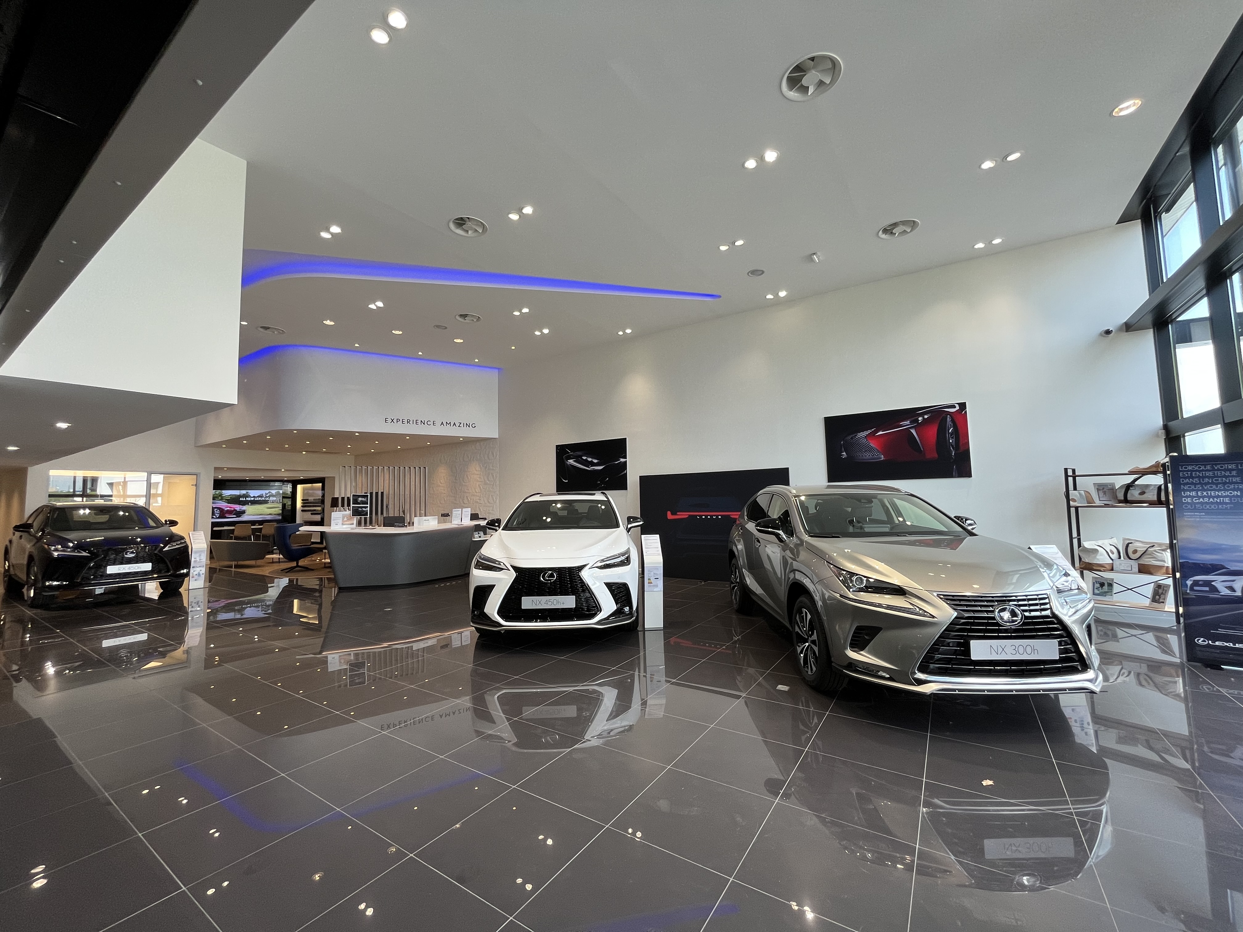 Foto 4 di Lexus Lorient- Cobredia