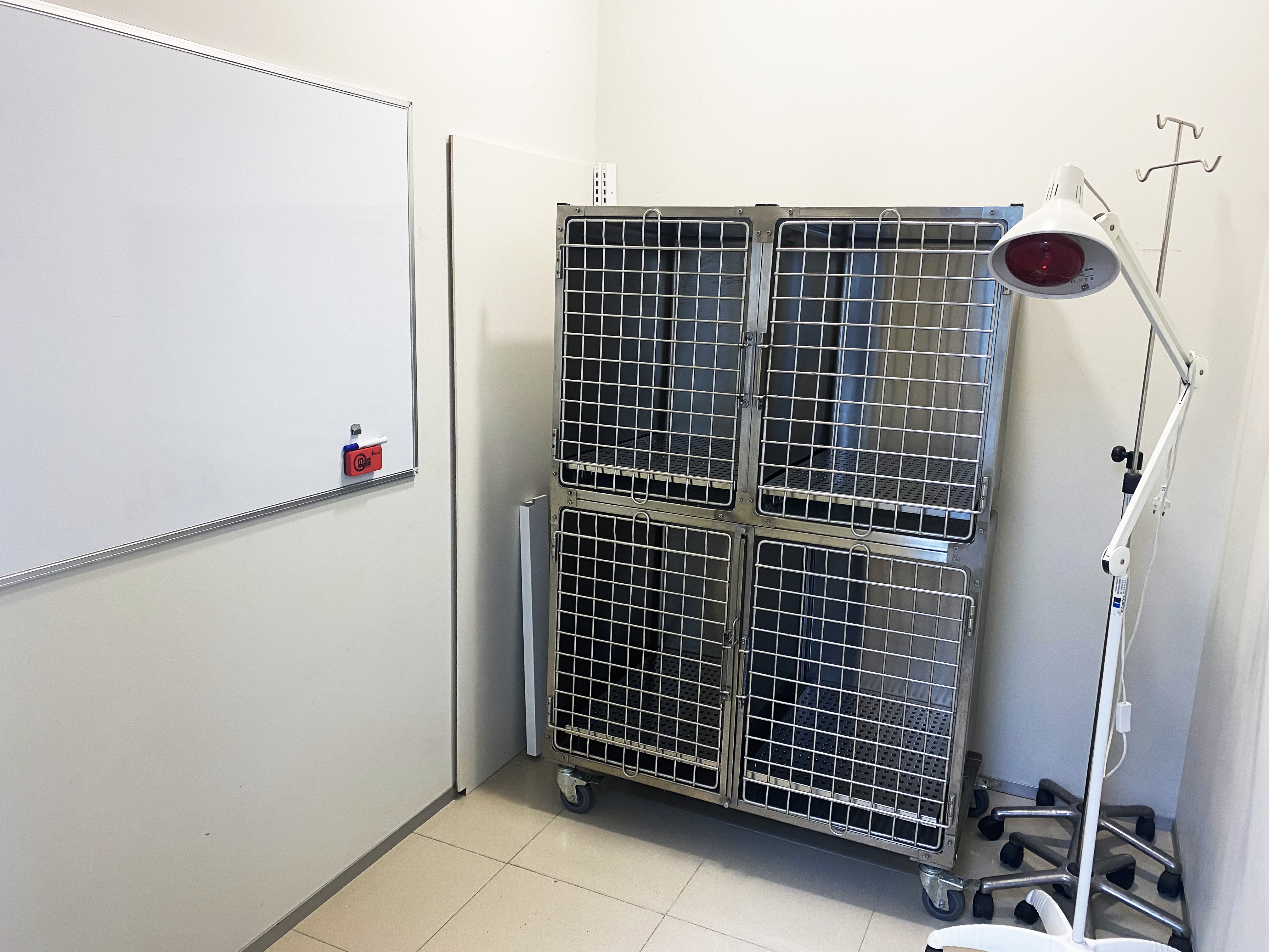 Foto 7 di Clinicanimal
