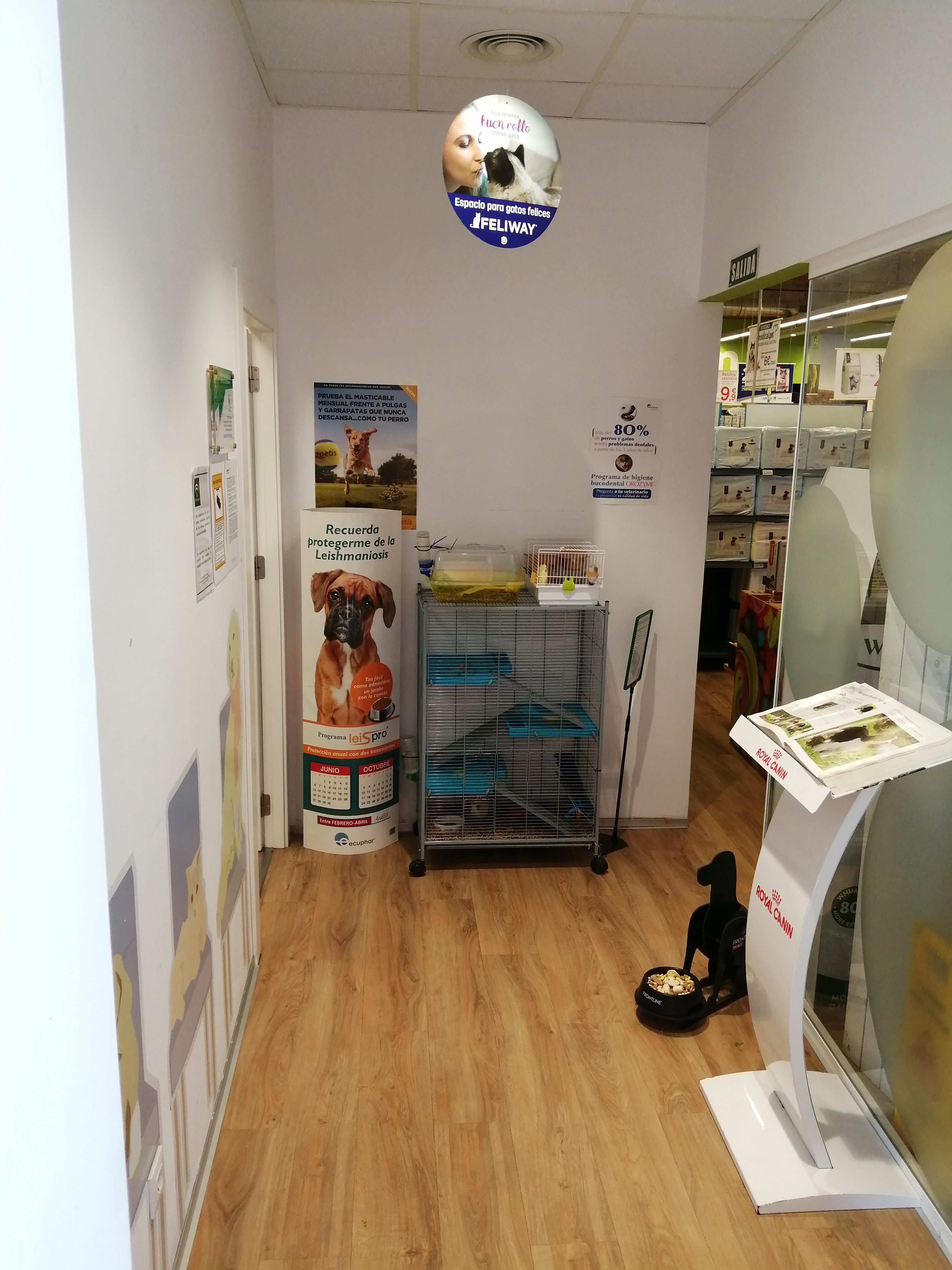 Foto 4 di Clinicanimal