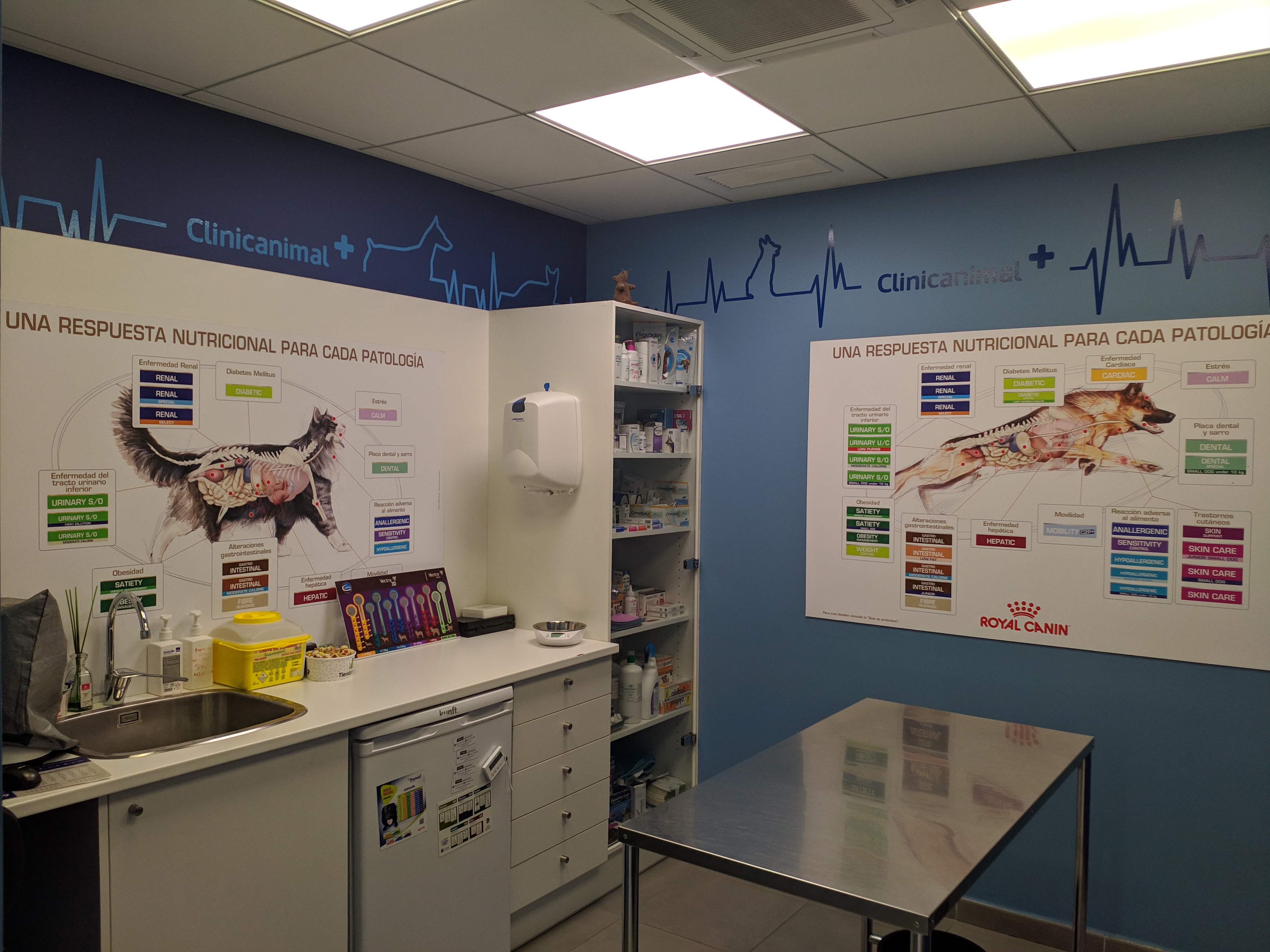 Foto 5 di Clinicanimal