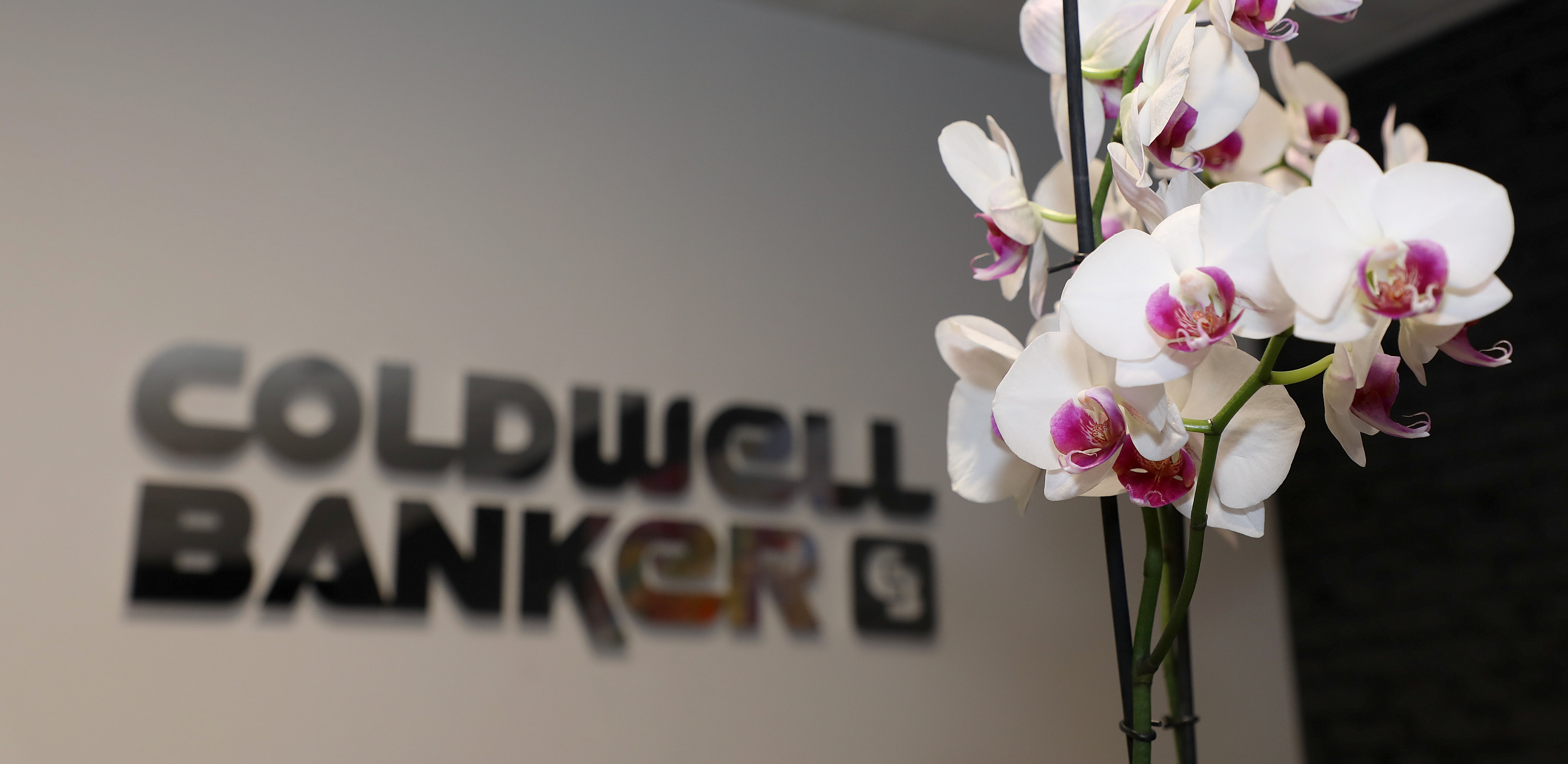 Foto 1 di COLDWELL BANKER