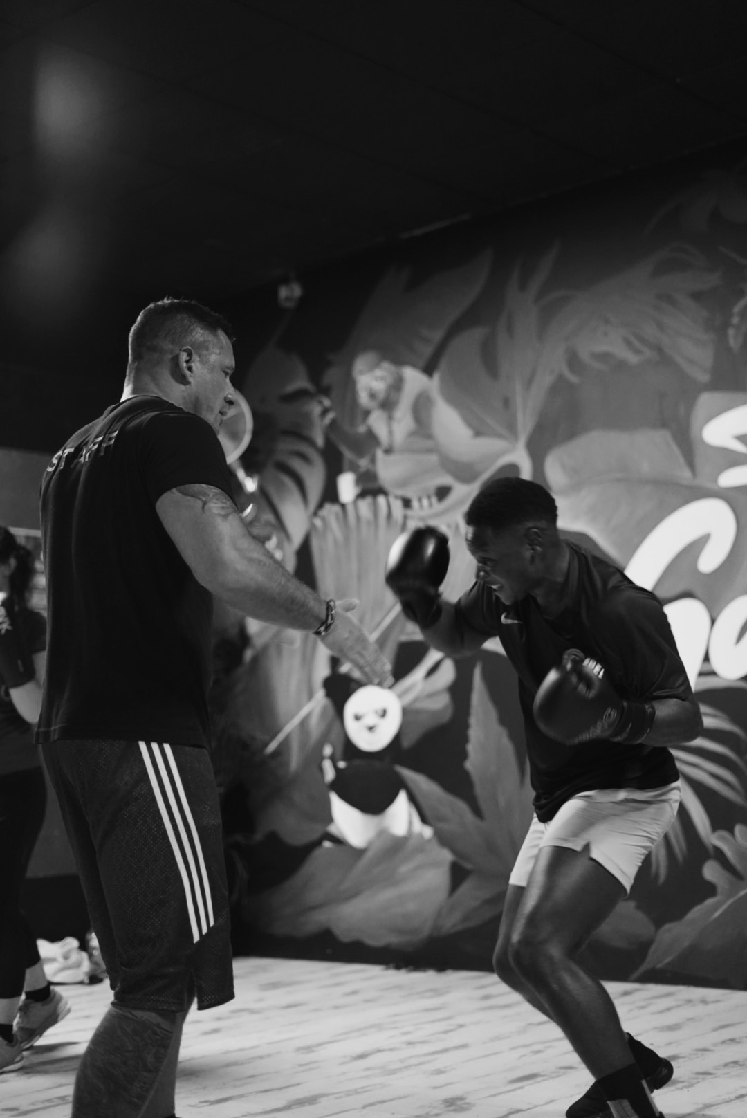 Fotografia 137 de FitGood