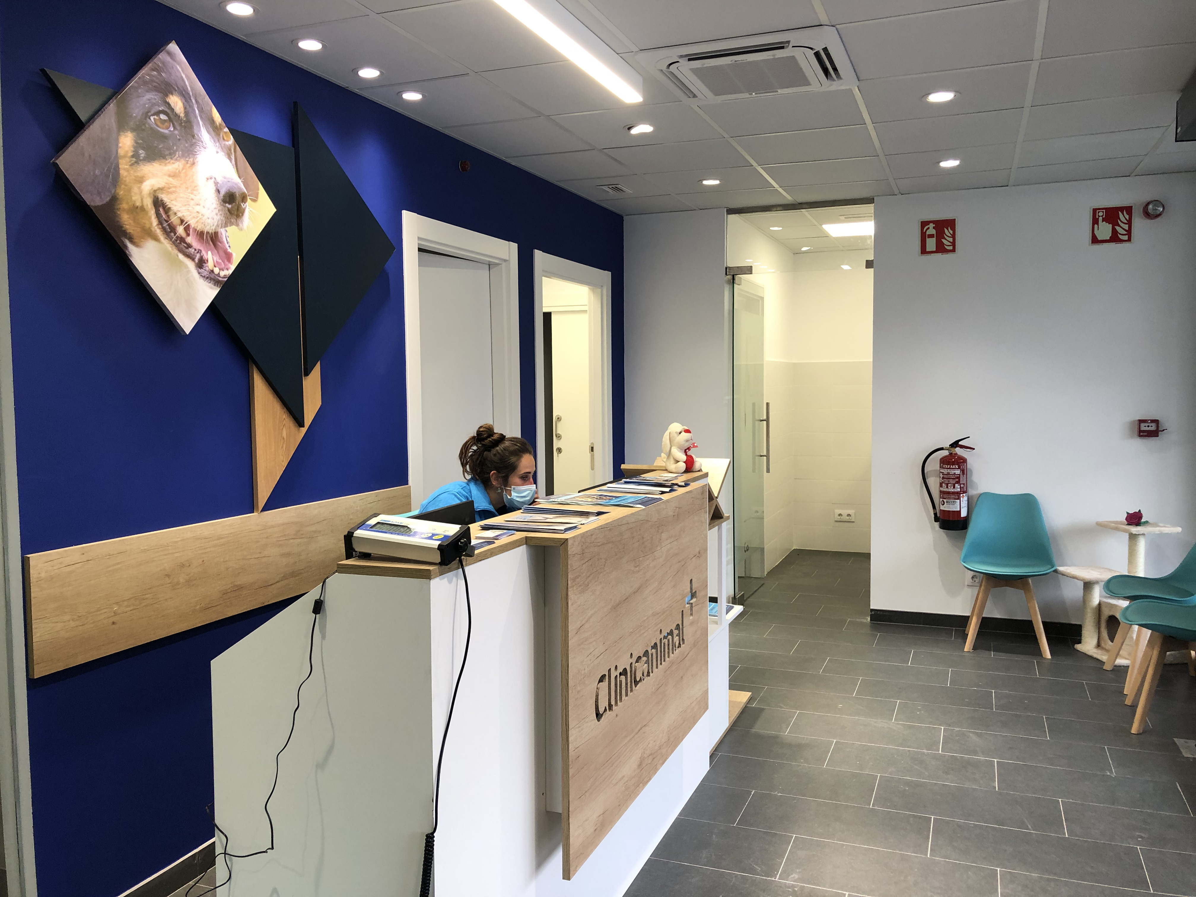 Foto 12 di Clinicanimal