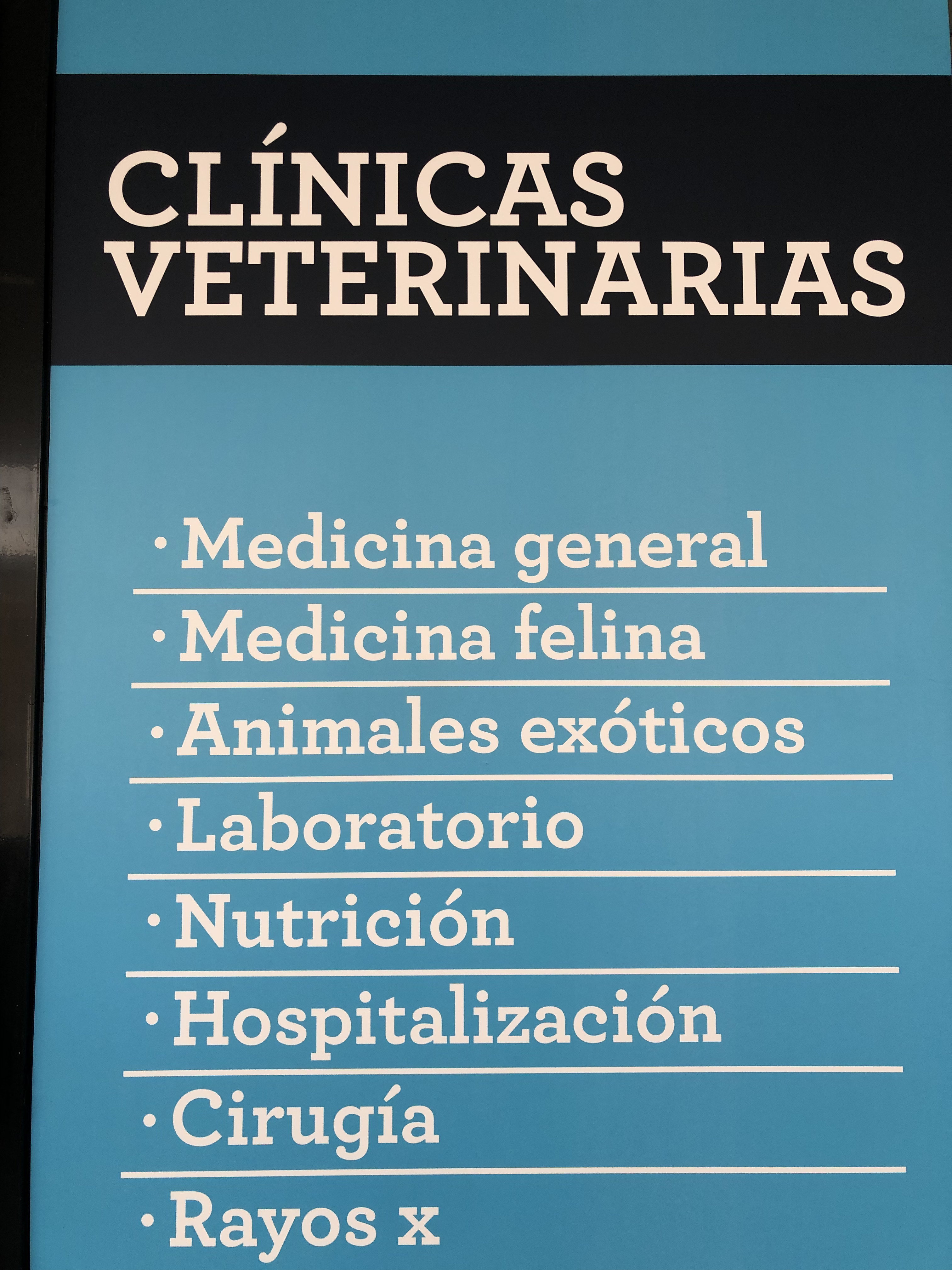 Foto 9 di Clinicanimal