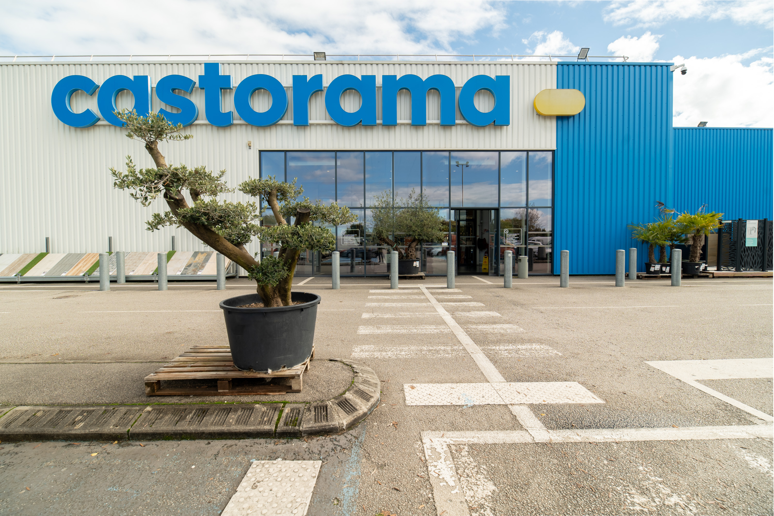 Foto 2 di Castorama
