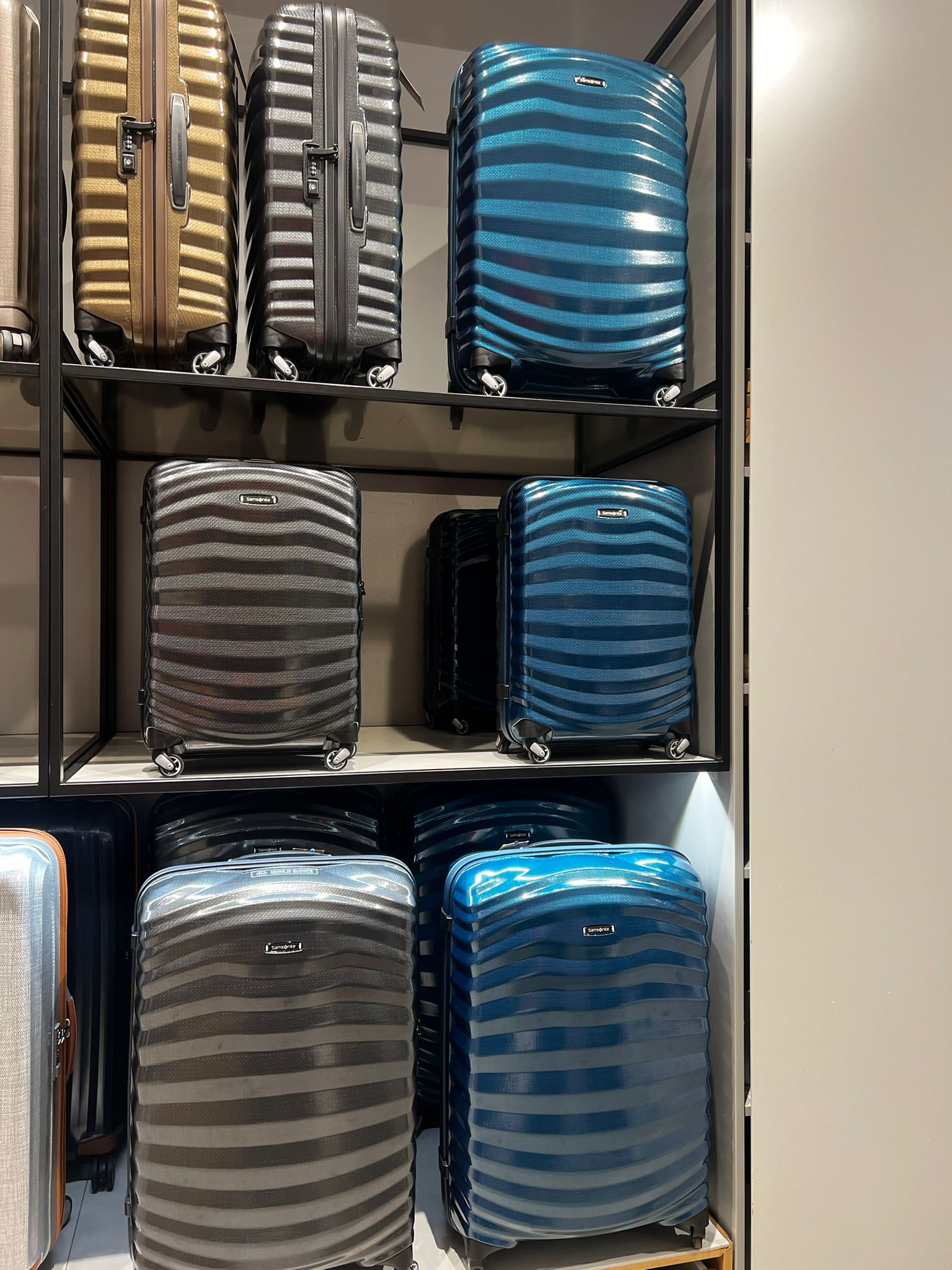 Foto 4 di Samsonite