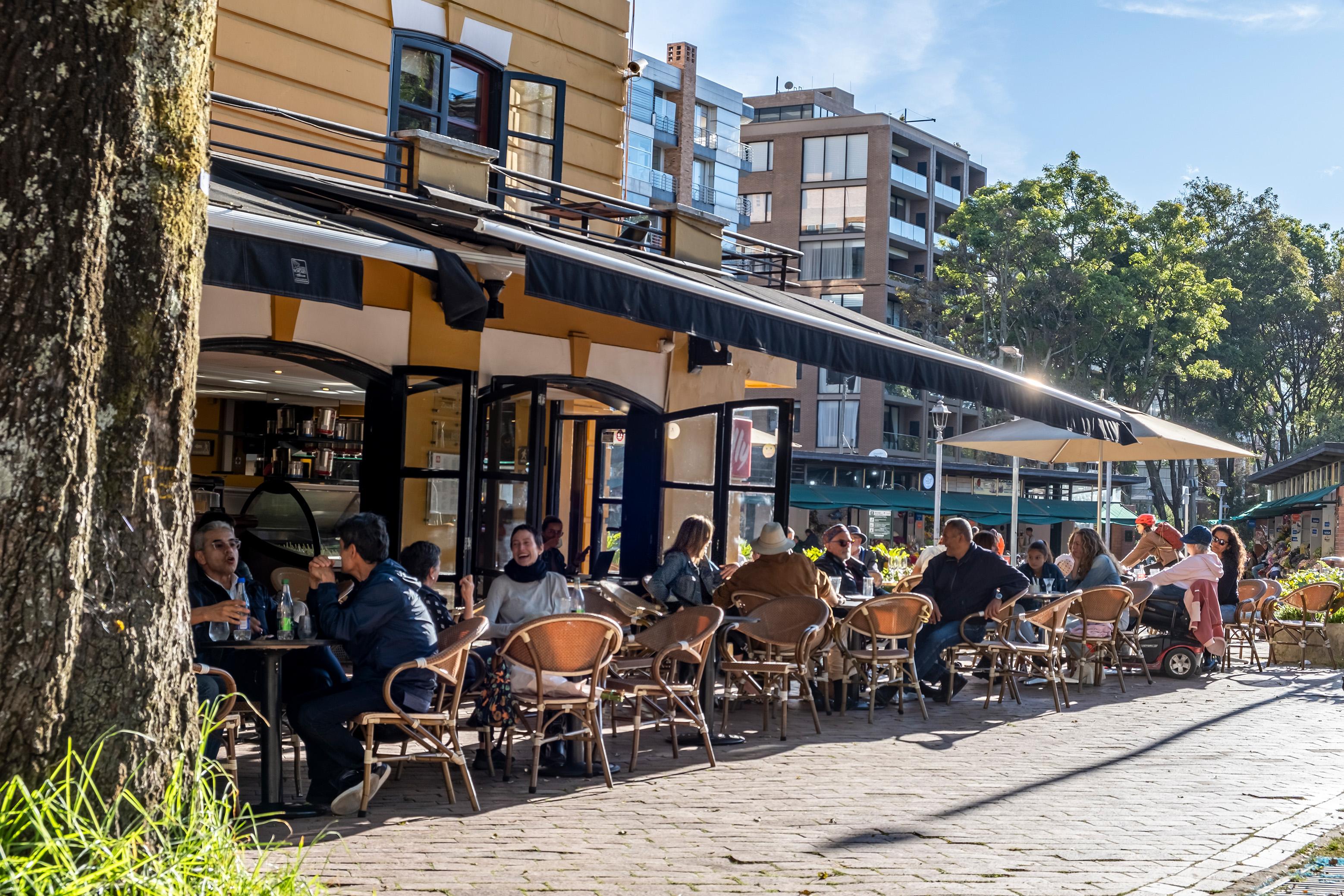 Café Illy
