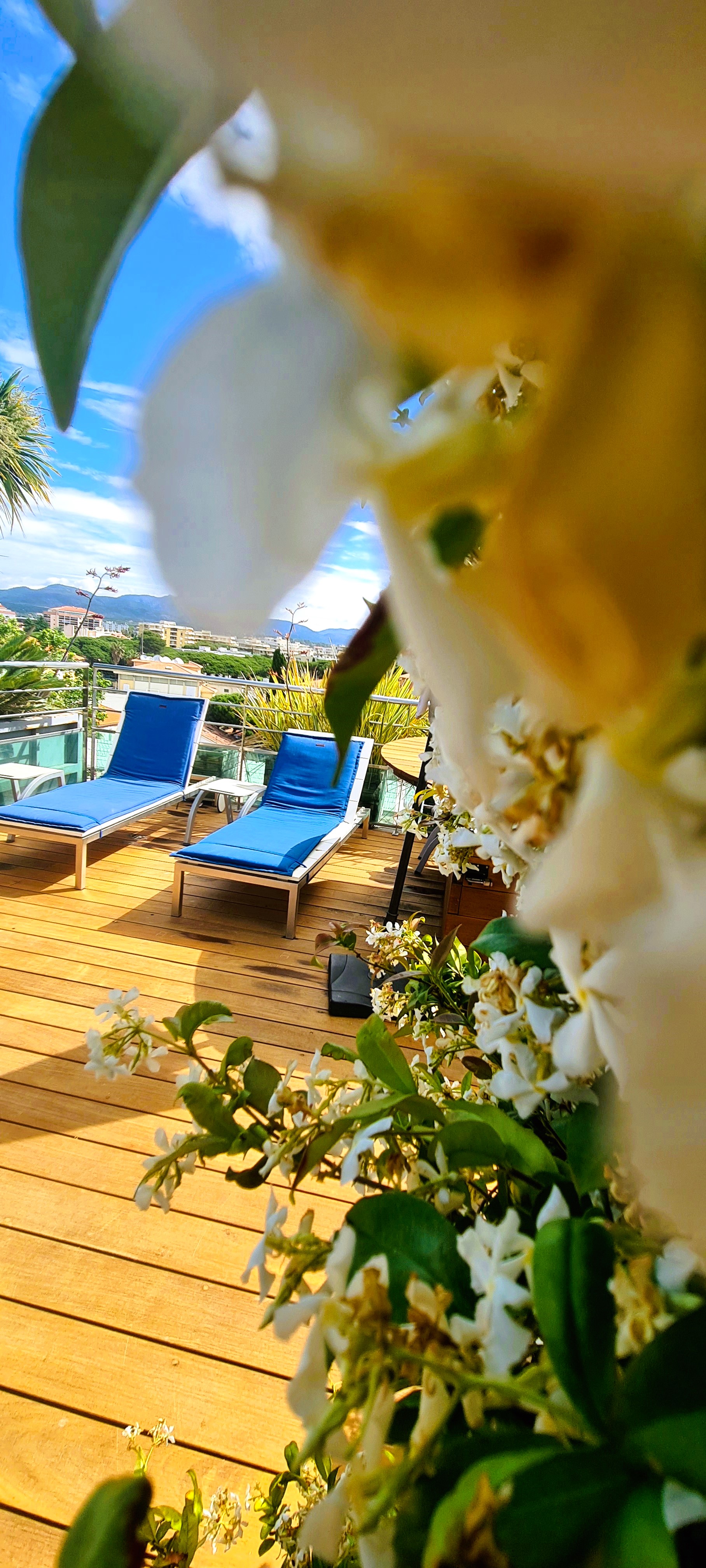 Résidence Villa Romana