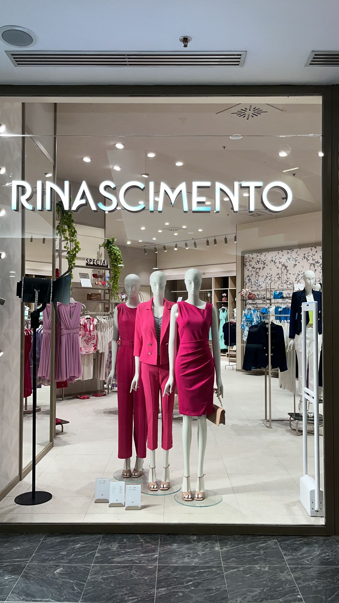 Photo 3 de Rinascimento