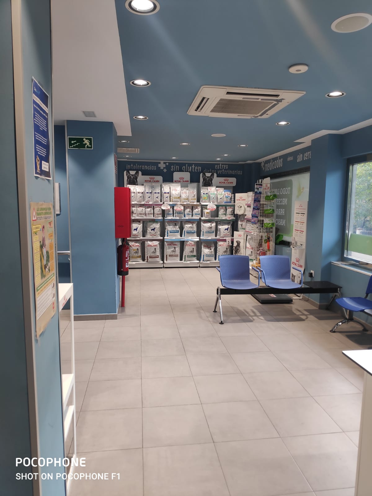 Foto 10 di Clinicanimal