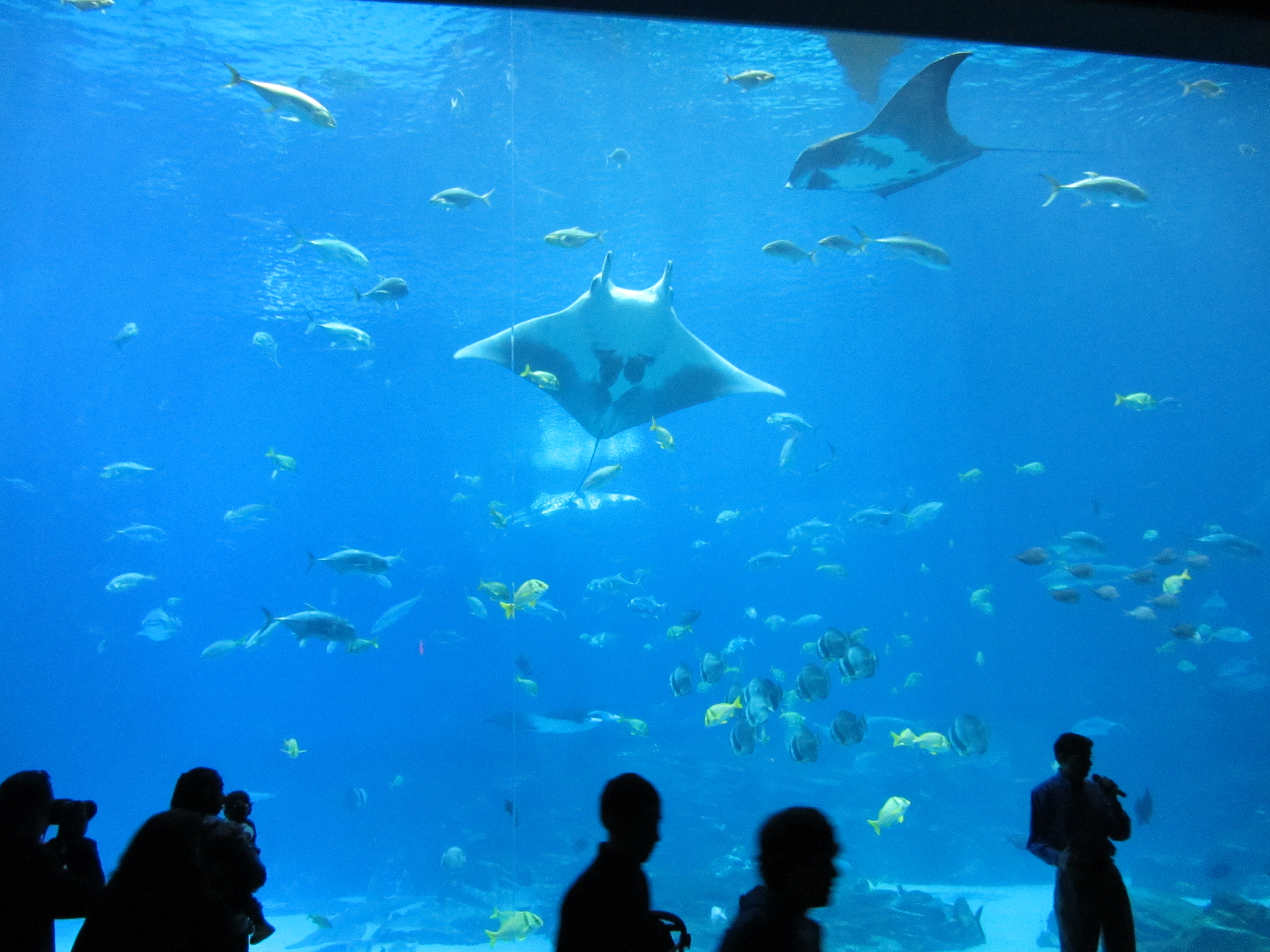 Foto 20 di alltours Reisecenter