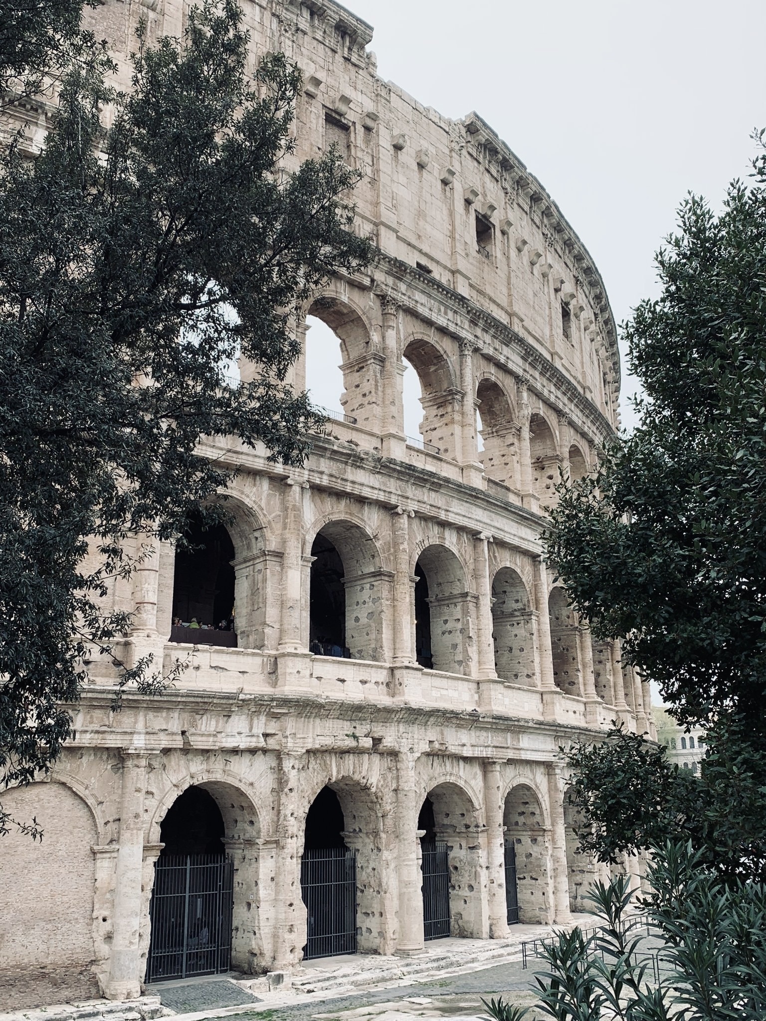 Foto 25 di alltours Reisecenter