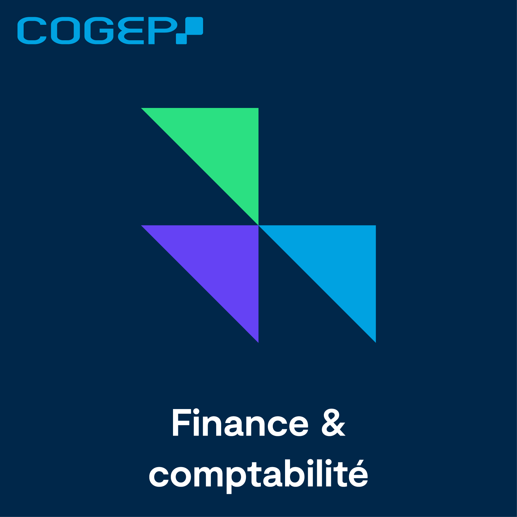 Foto 5 di COGEP