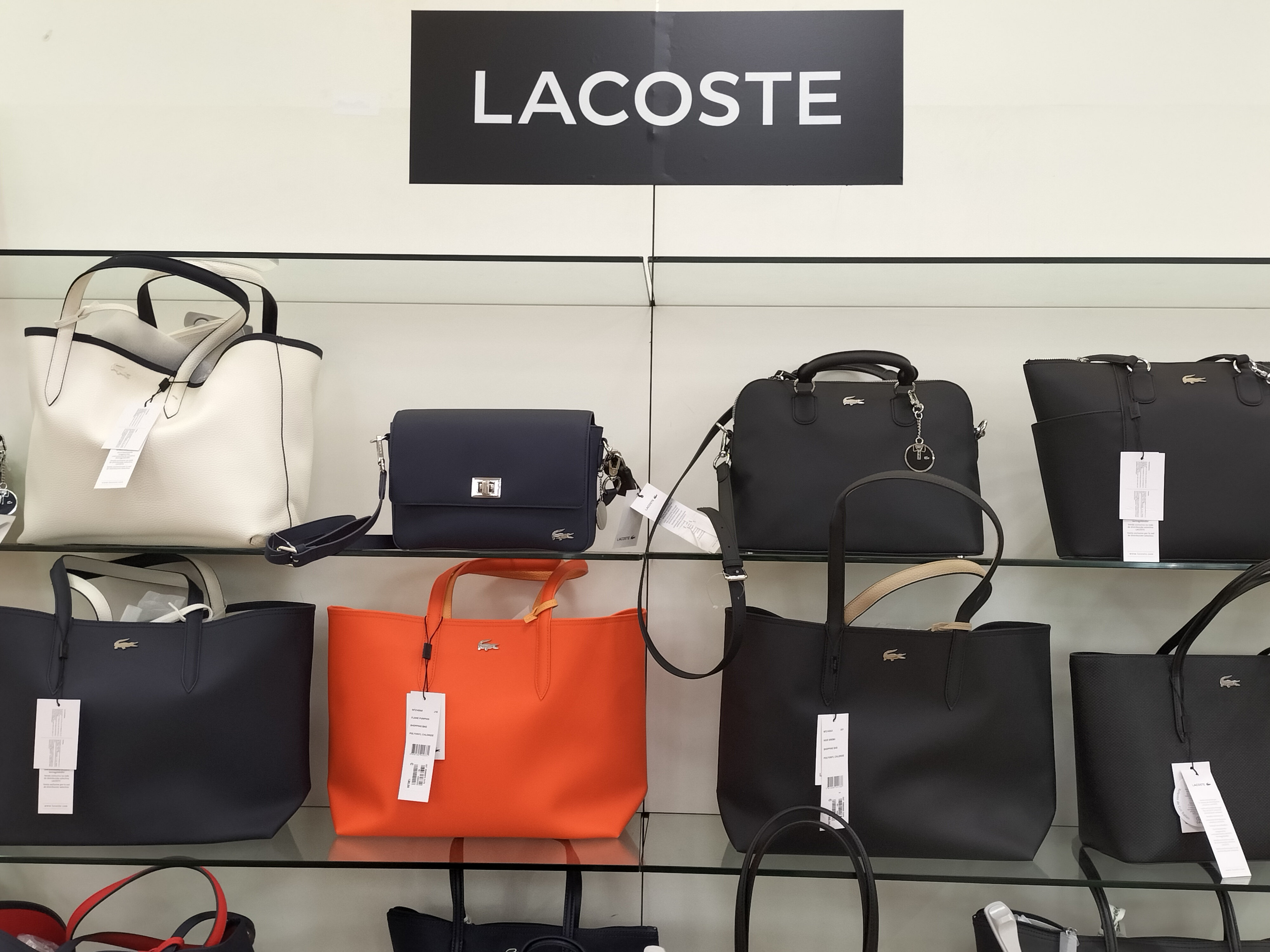 Foto 6 di Lacoste