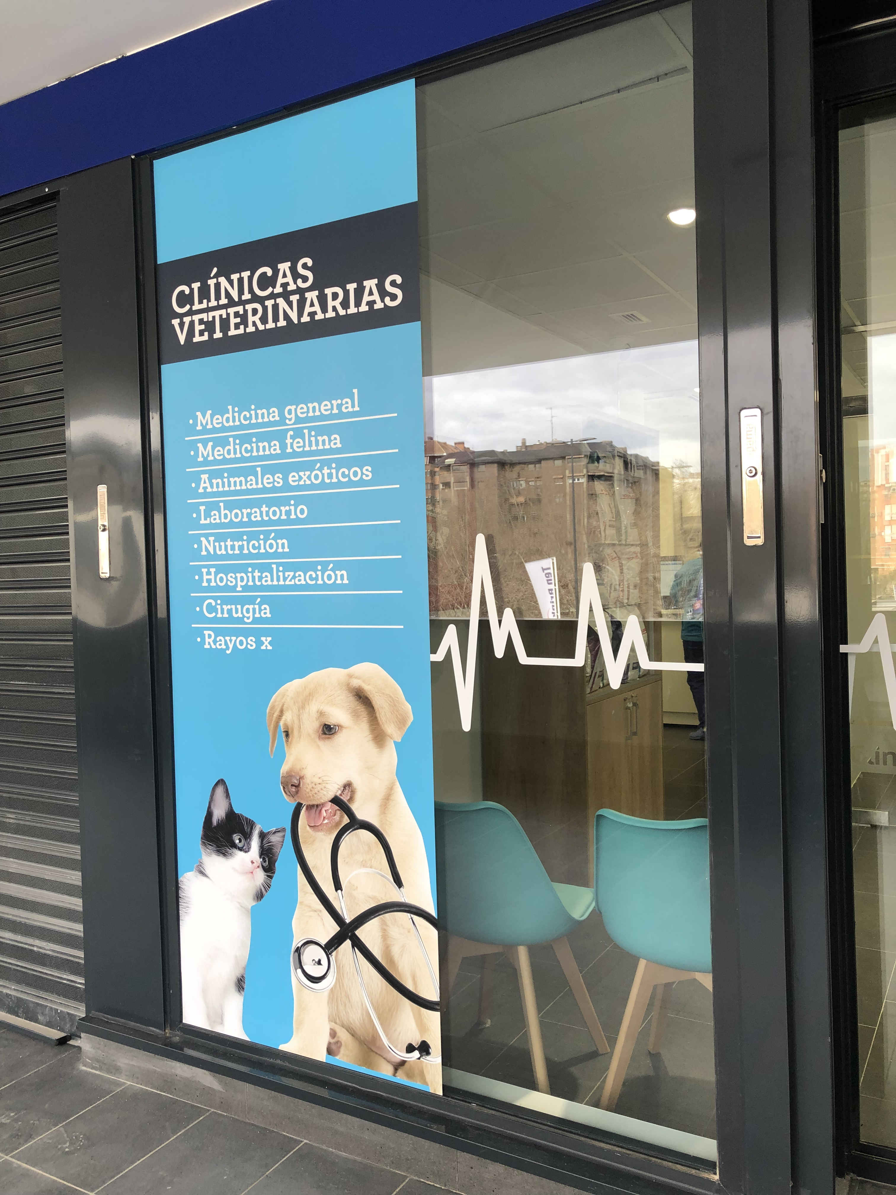 Foto 5 di Clinicanimal