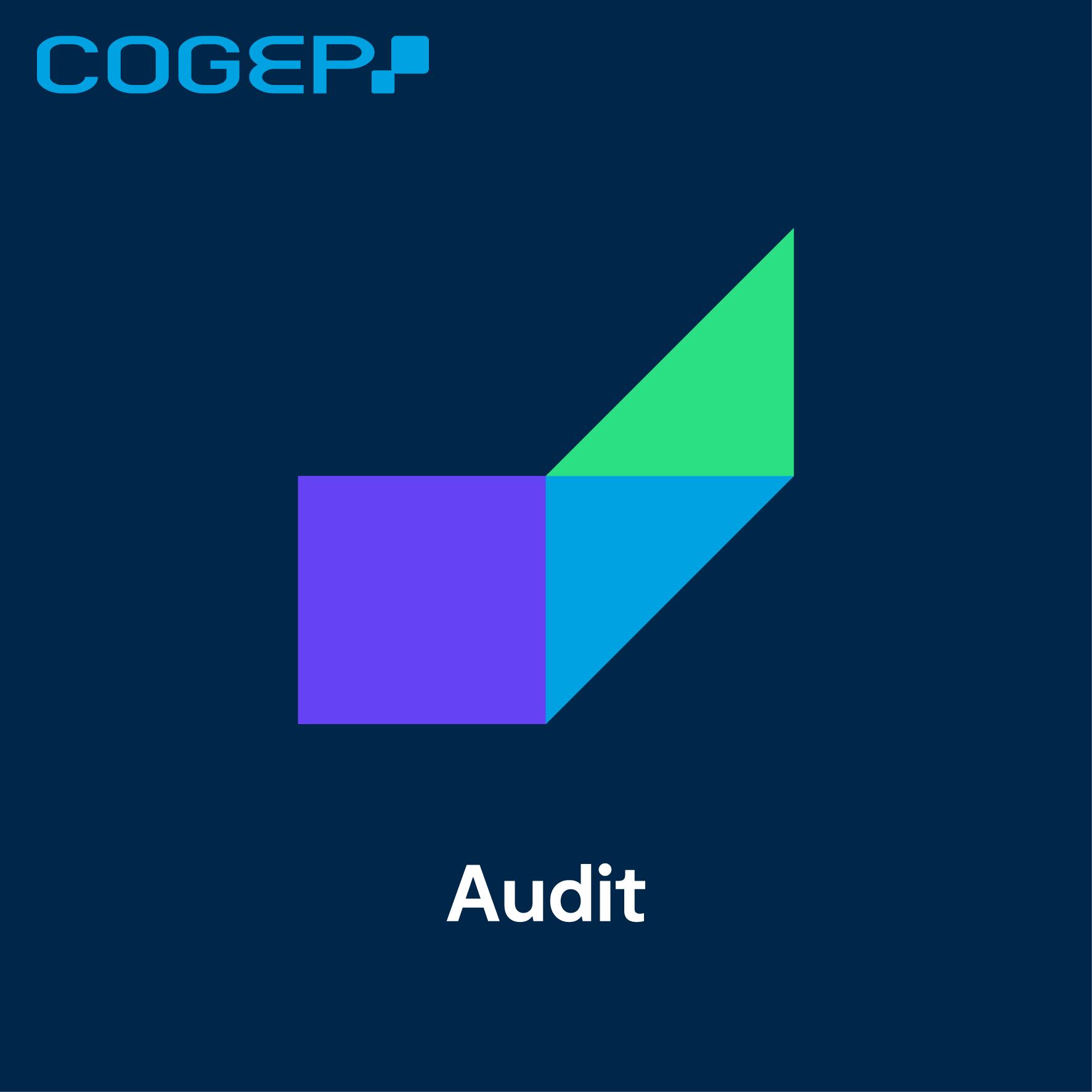 Foto 4 di COGEP