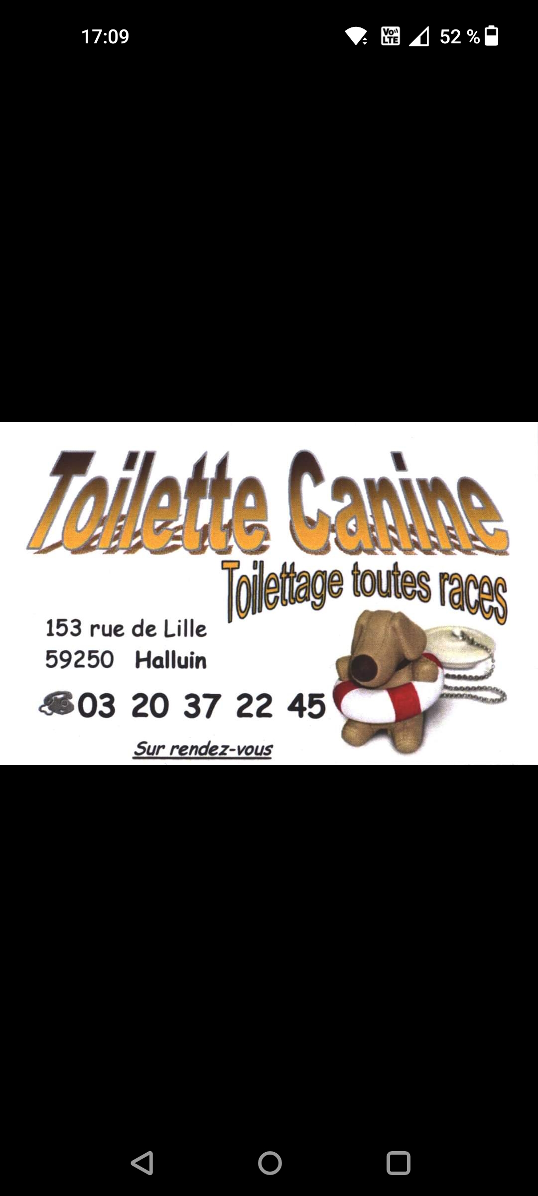 Foto 1 di Toilette Canine