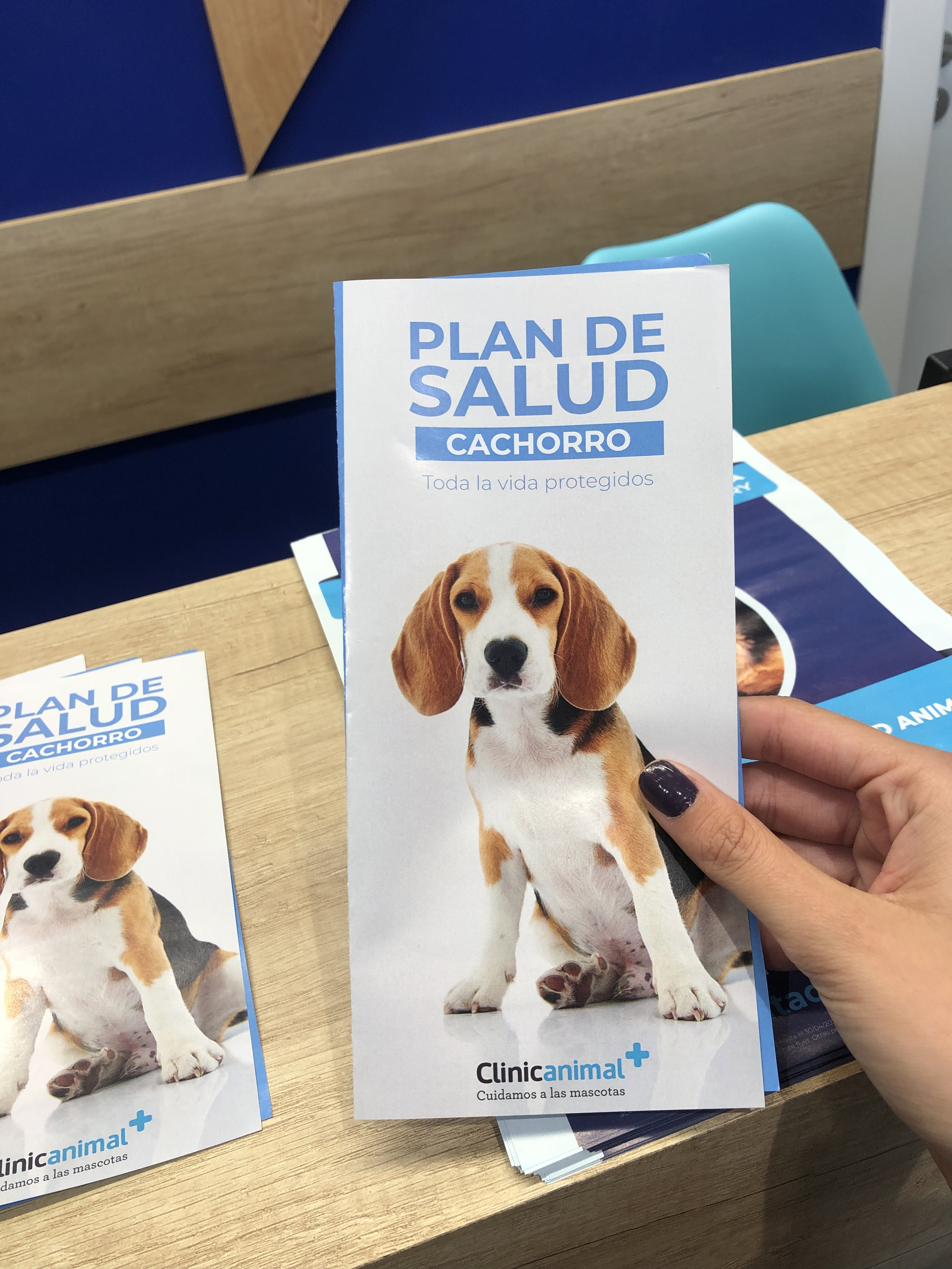 Foto 4 di Clinicanimal