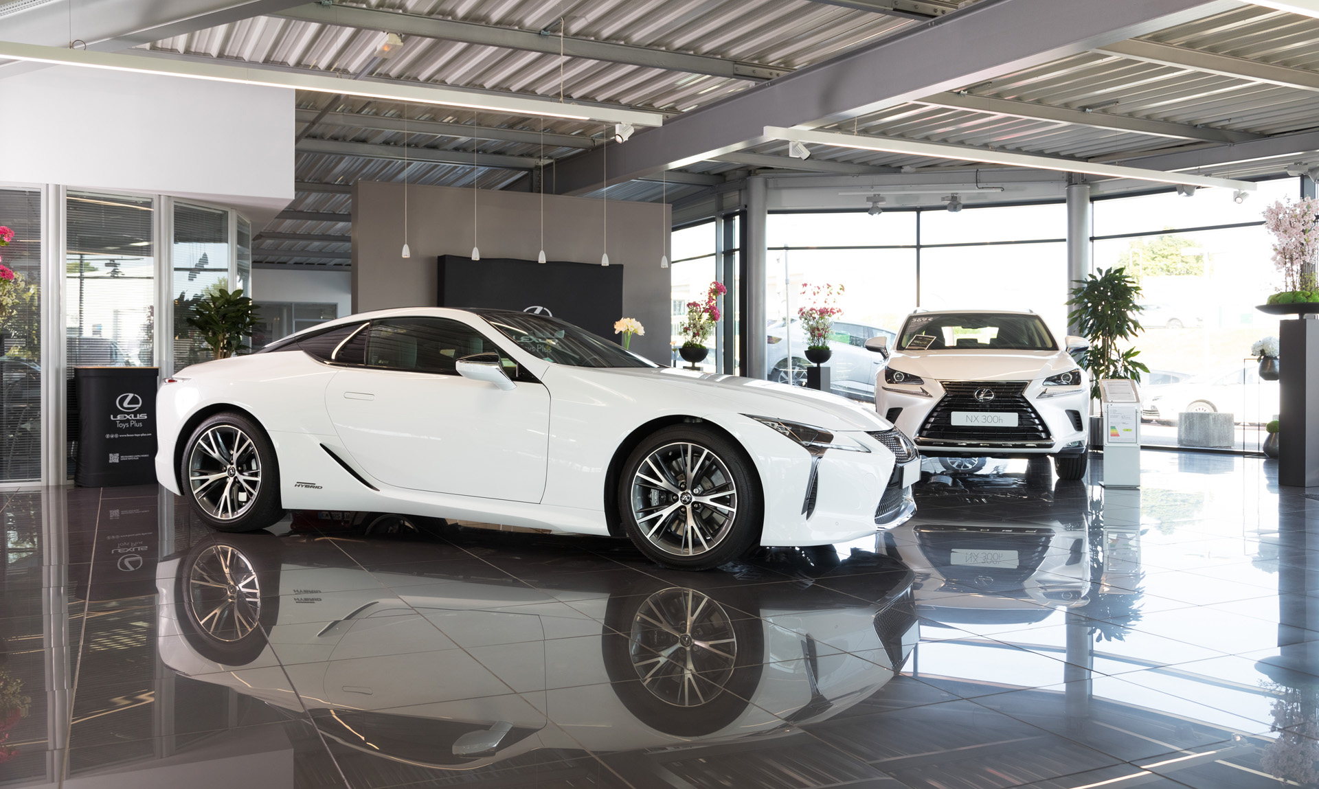 Foto 20 di Lexus Toys Plus - Épinal