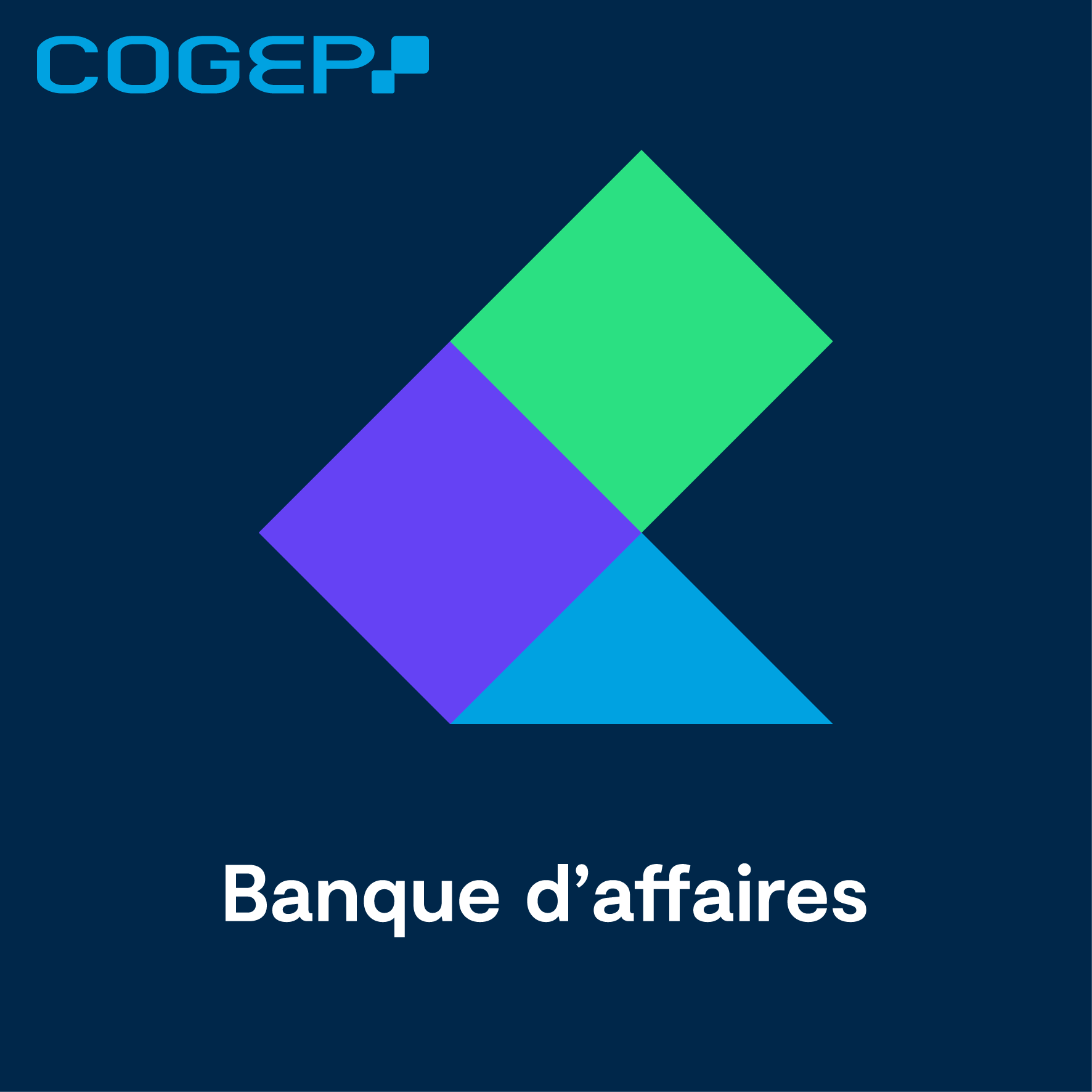 Foto 11 di COGEP