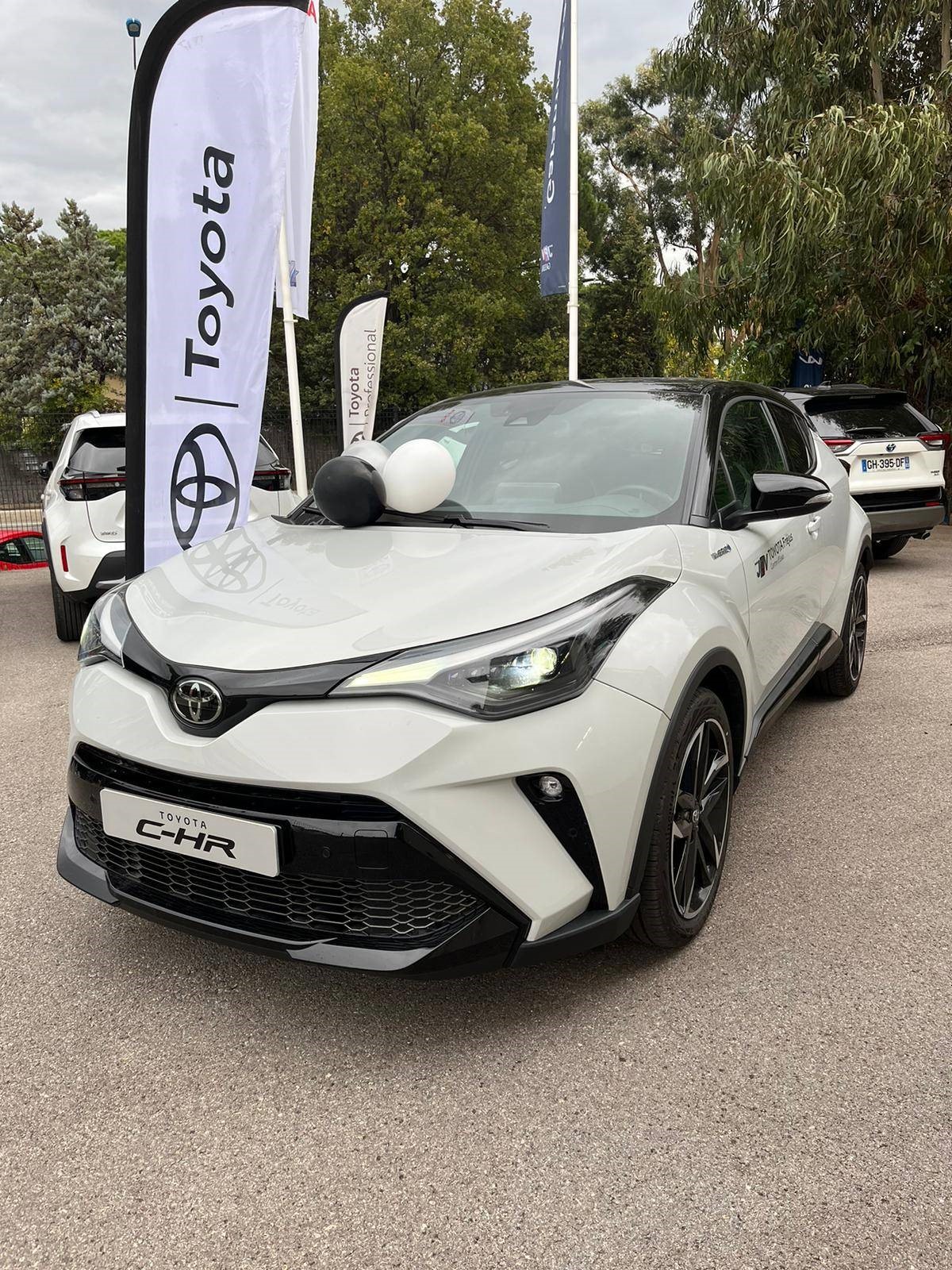 Foto 15 di Toyota Saint-Tropez