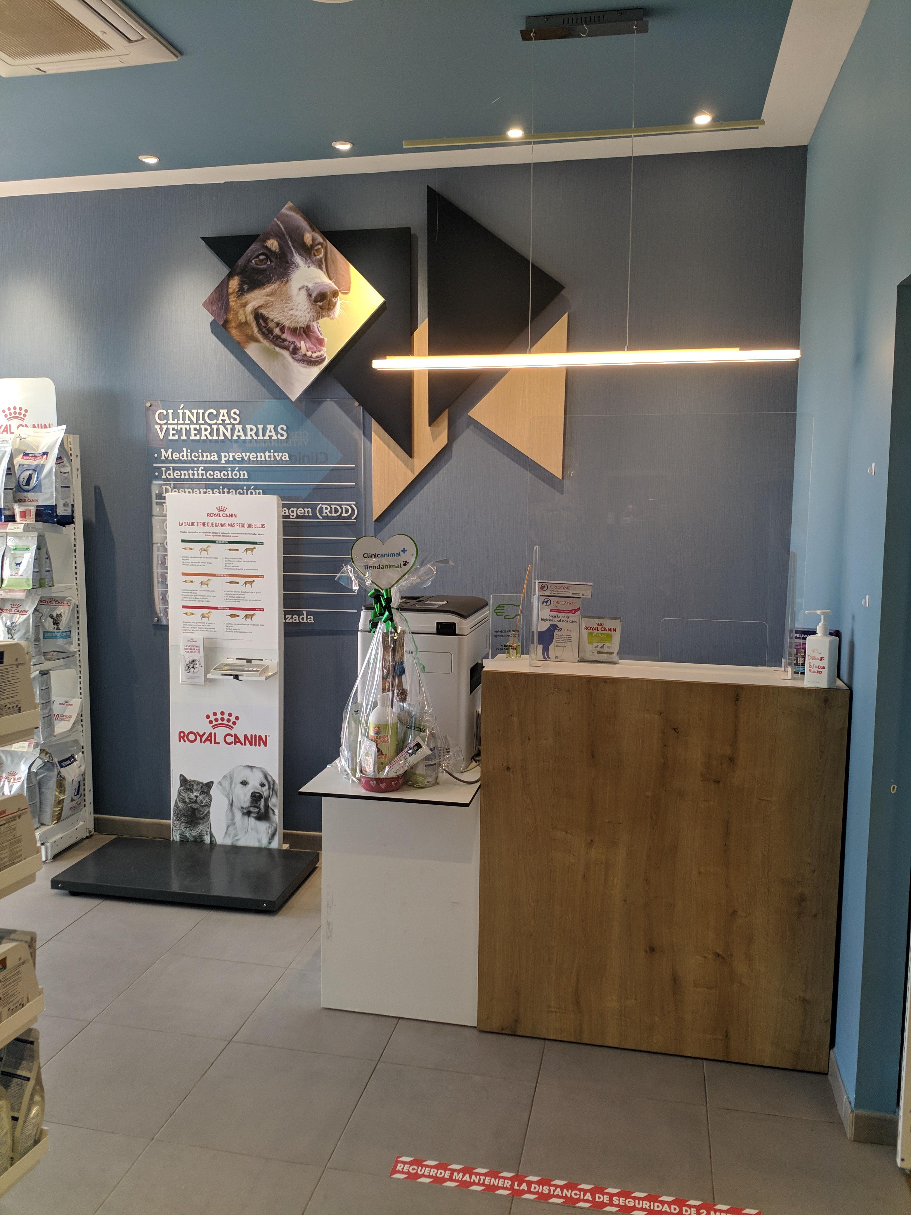 Foto 4 di Clinicanimal